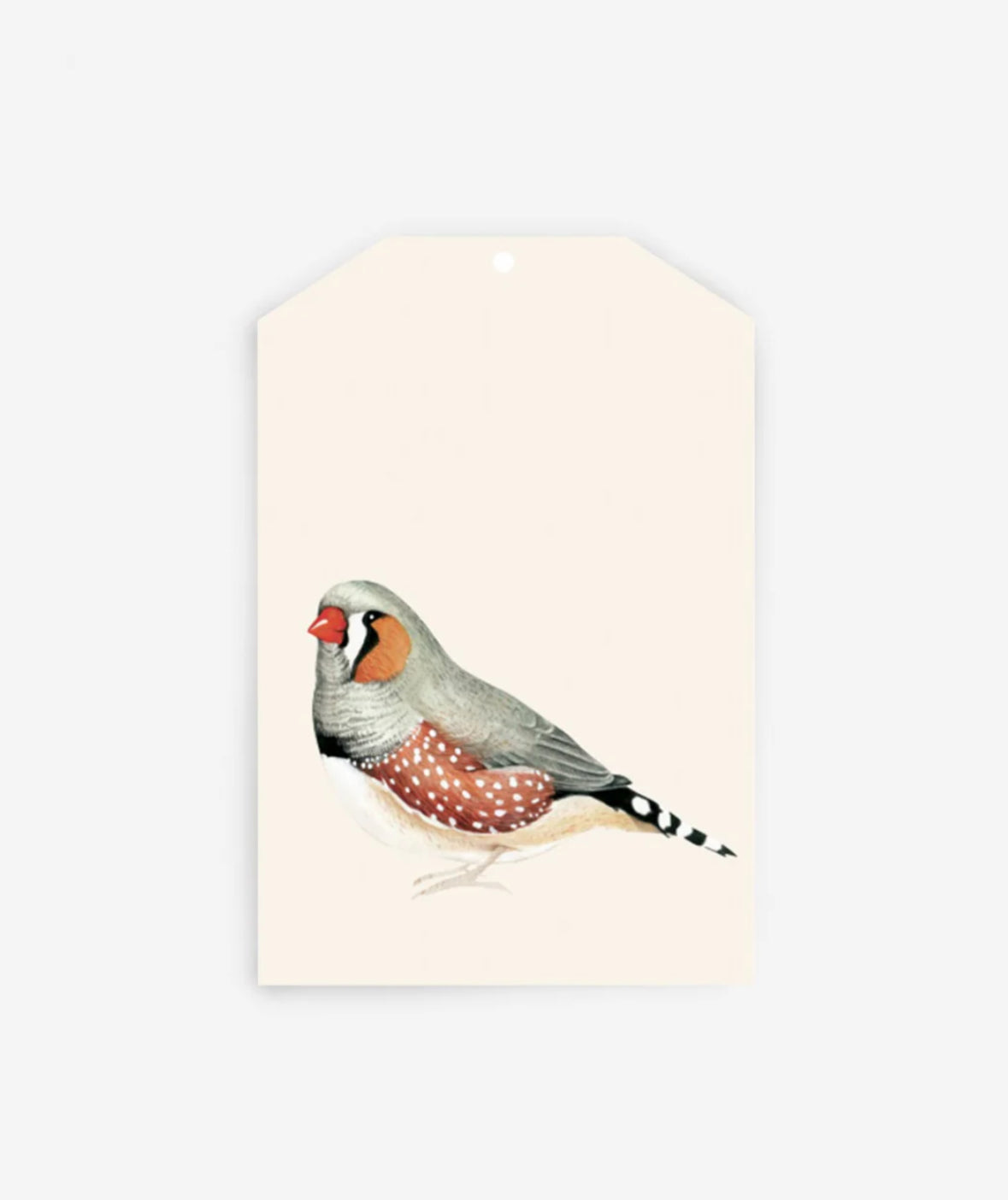 Father Rabbit gift tags - various