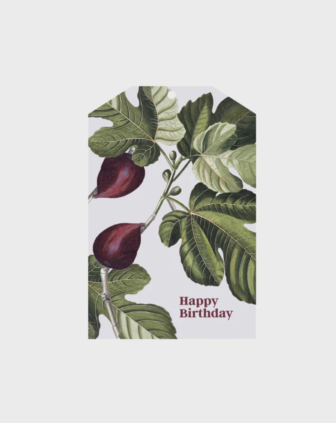 Father Rabbit gift tags - various