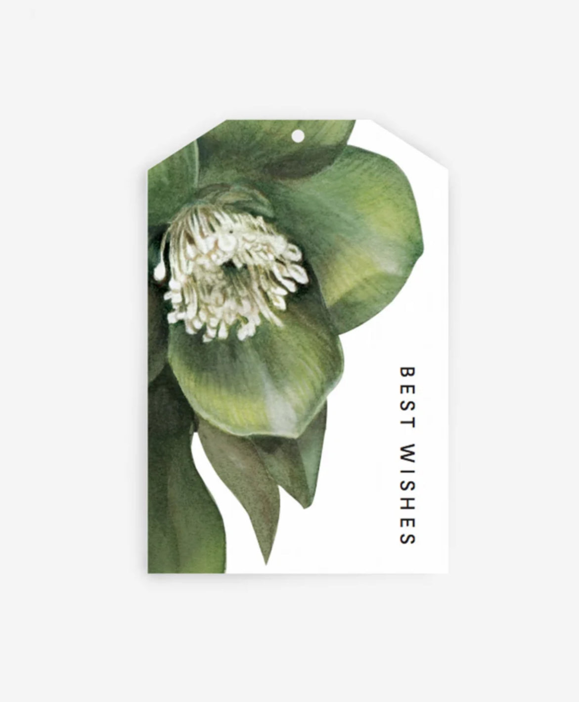Father Rabbit gift tags - various