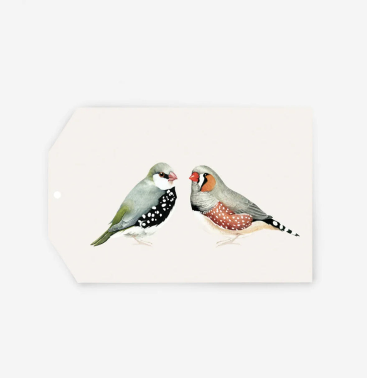 Father Rabbit gift tags - various