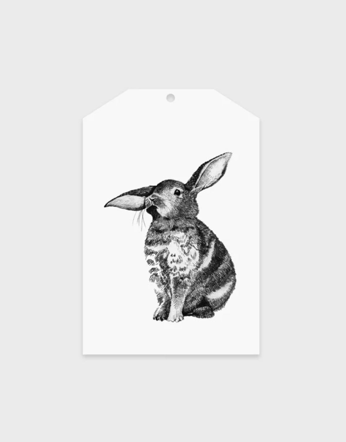 Father Rabbit gift tags - various