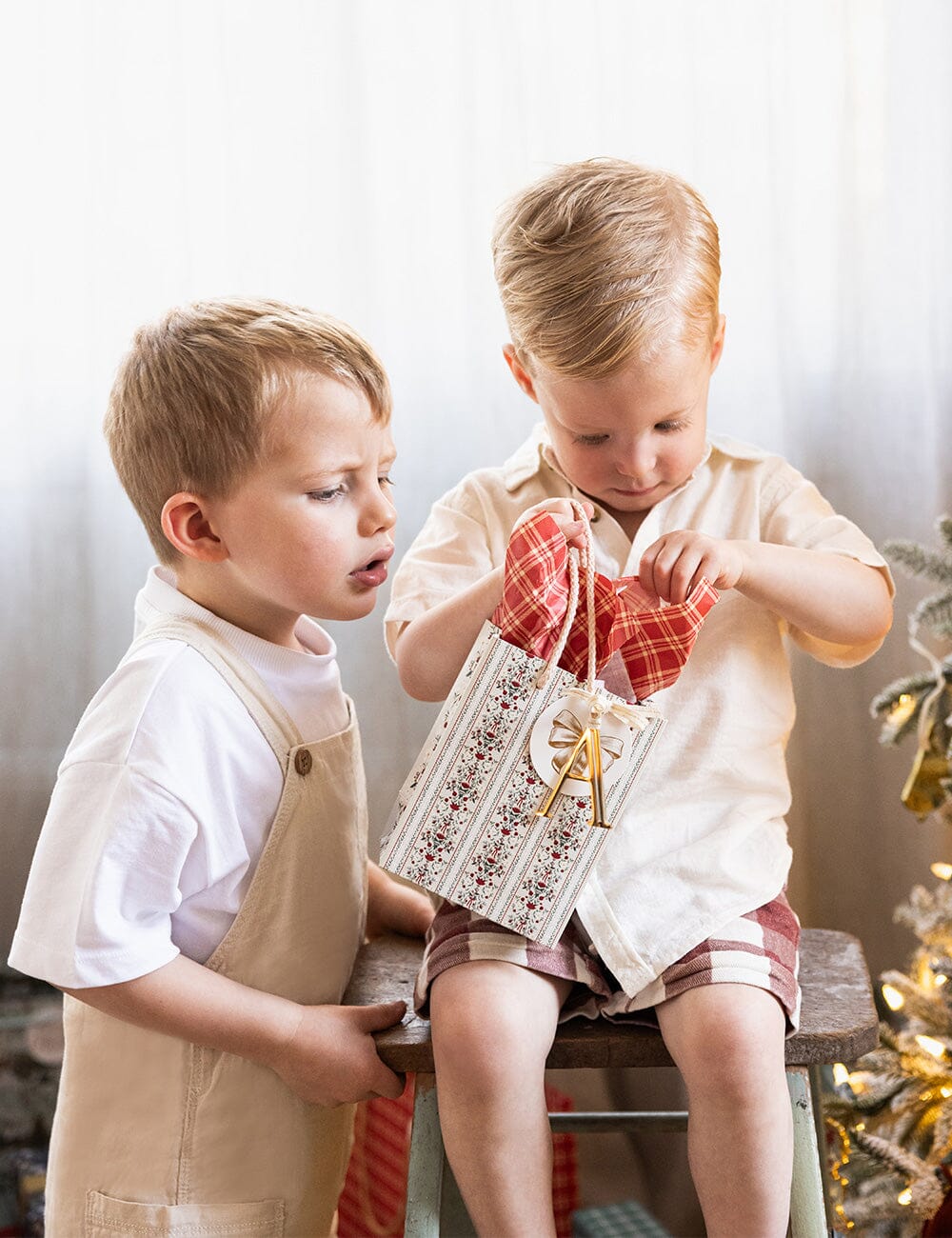 Bespoke Small Gift Bag - Festive Florals