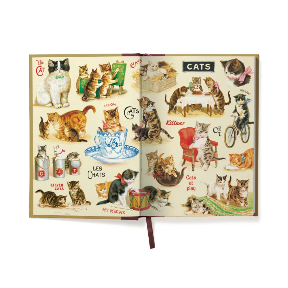 Cavallini Le Chat Journal