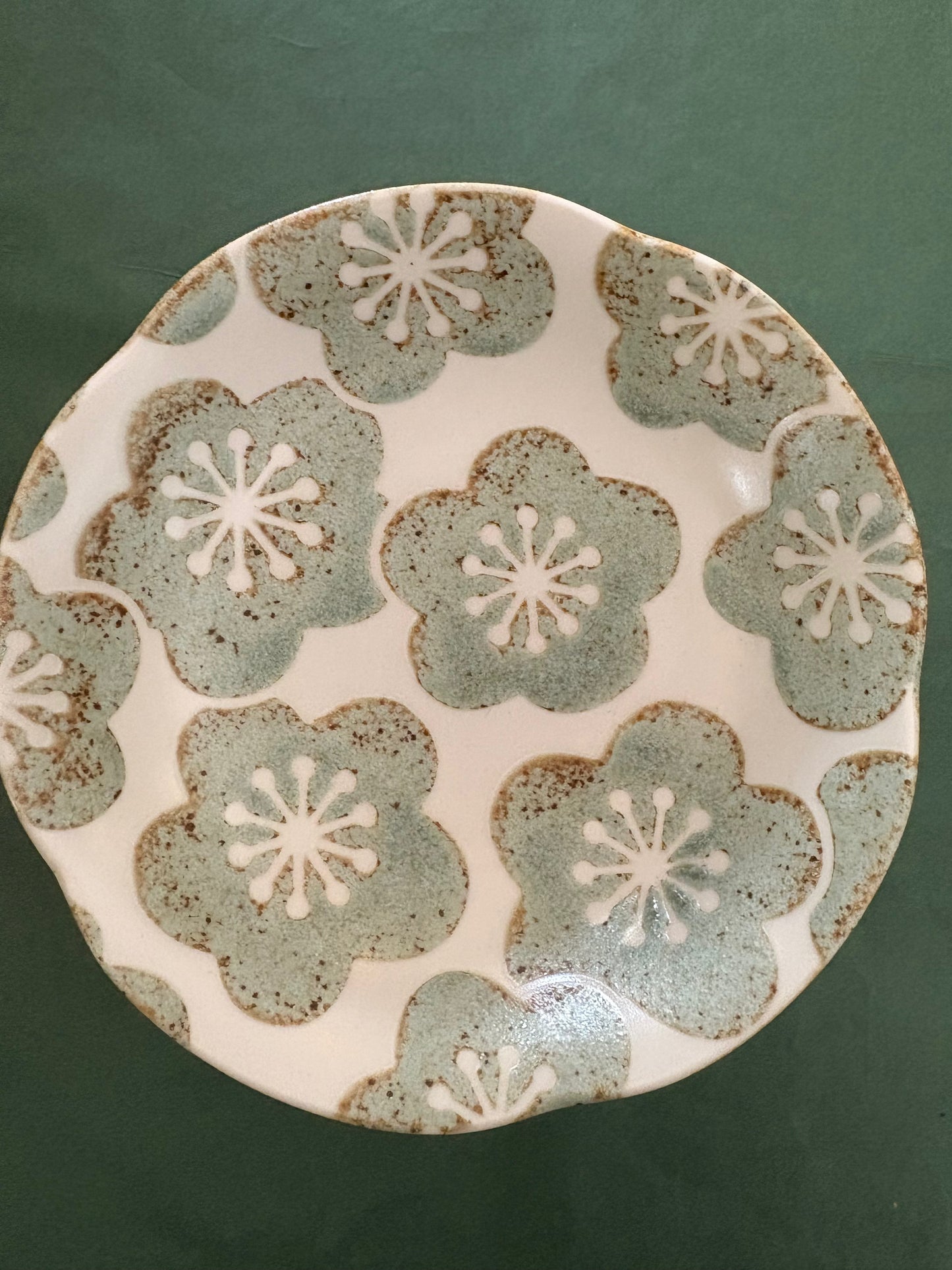 Concept Japan Sage Daisy Side Dish