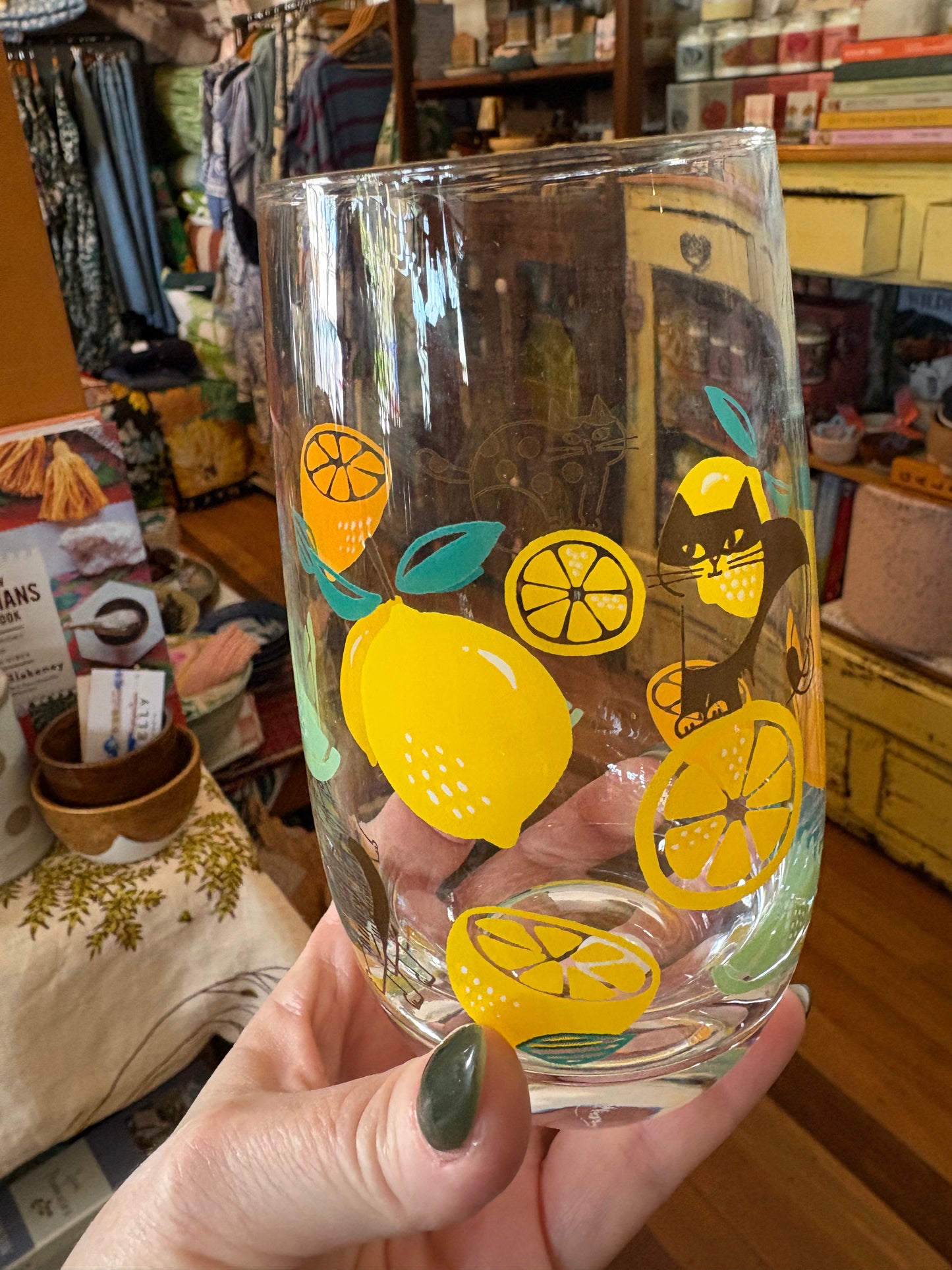 Concept Japan FIKA cat glass