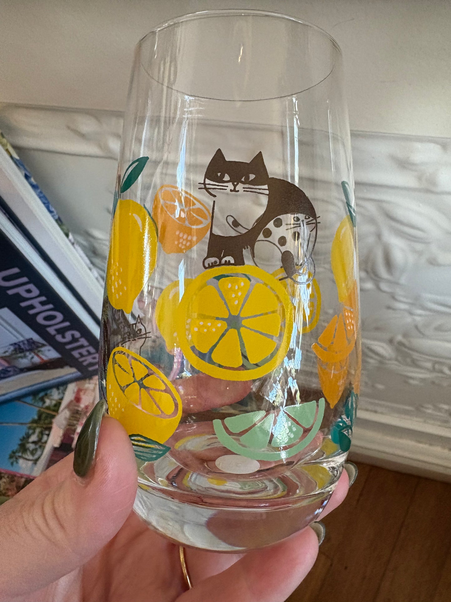 Concept Japan FIKA cat glass
