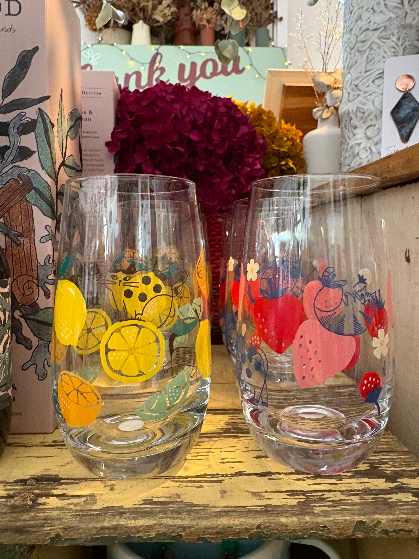 Concept Japan FIKA cat glass