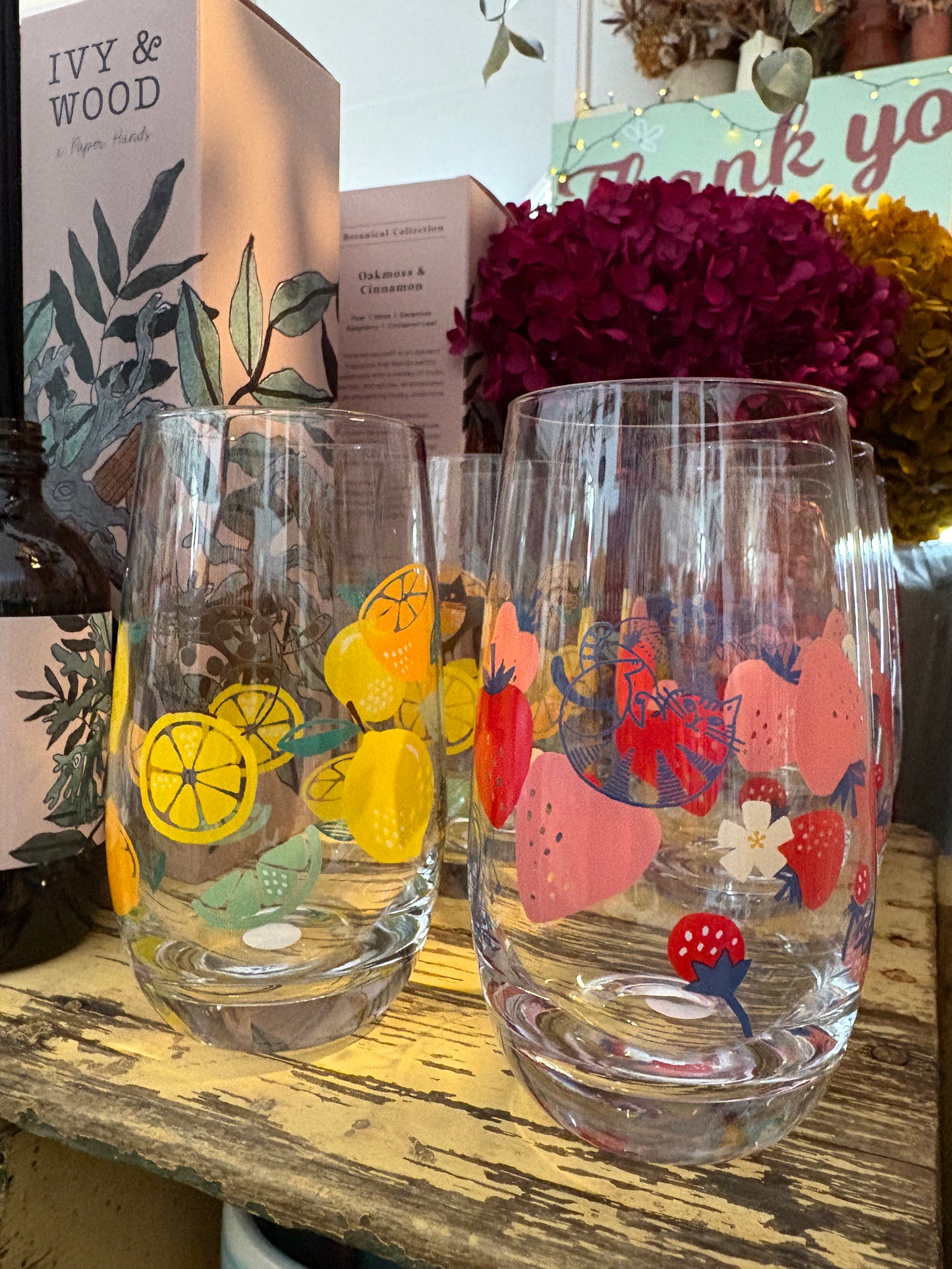 Concept Japan FIKA cat glass