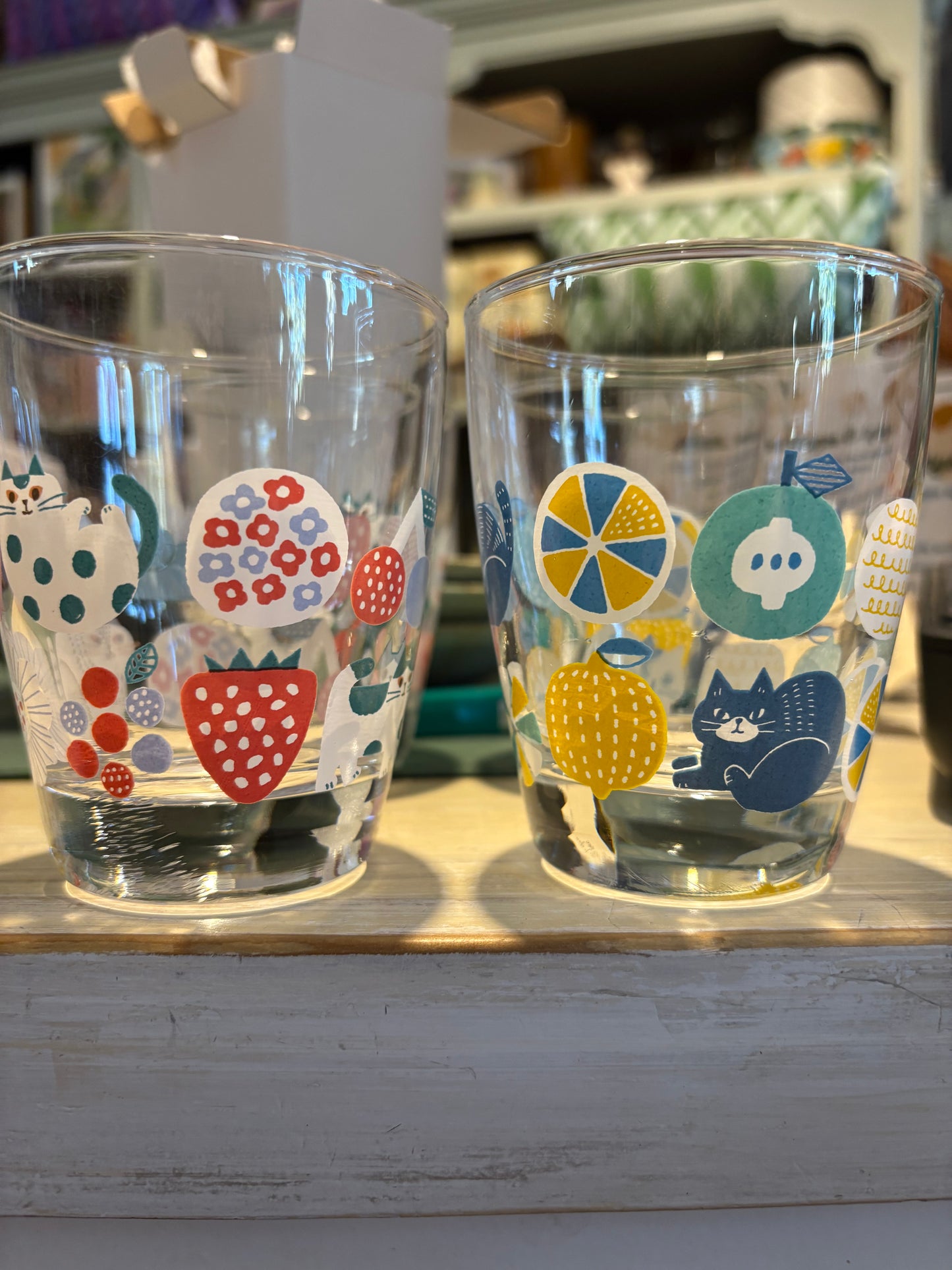 Concept Japan FIKA cat glass