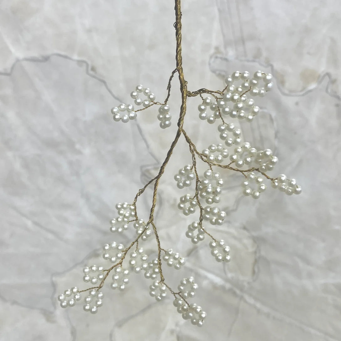 Japanese Spring Branch