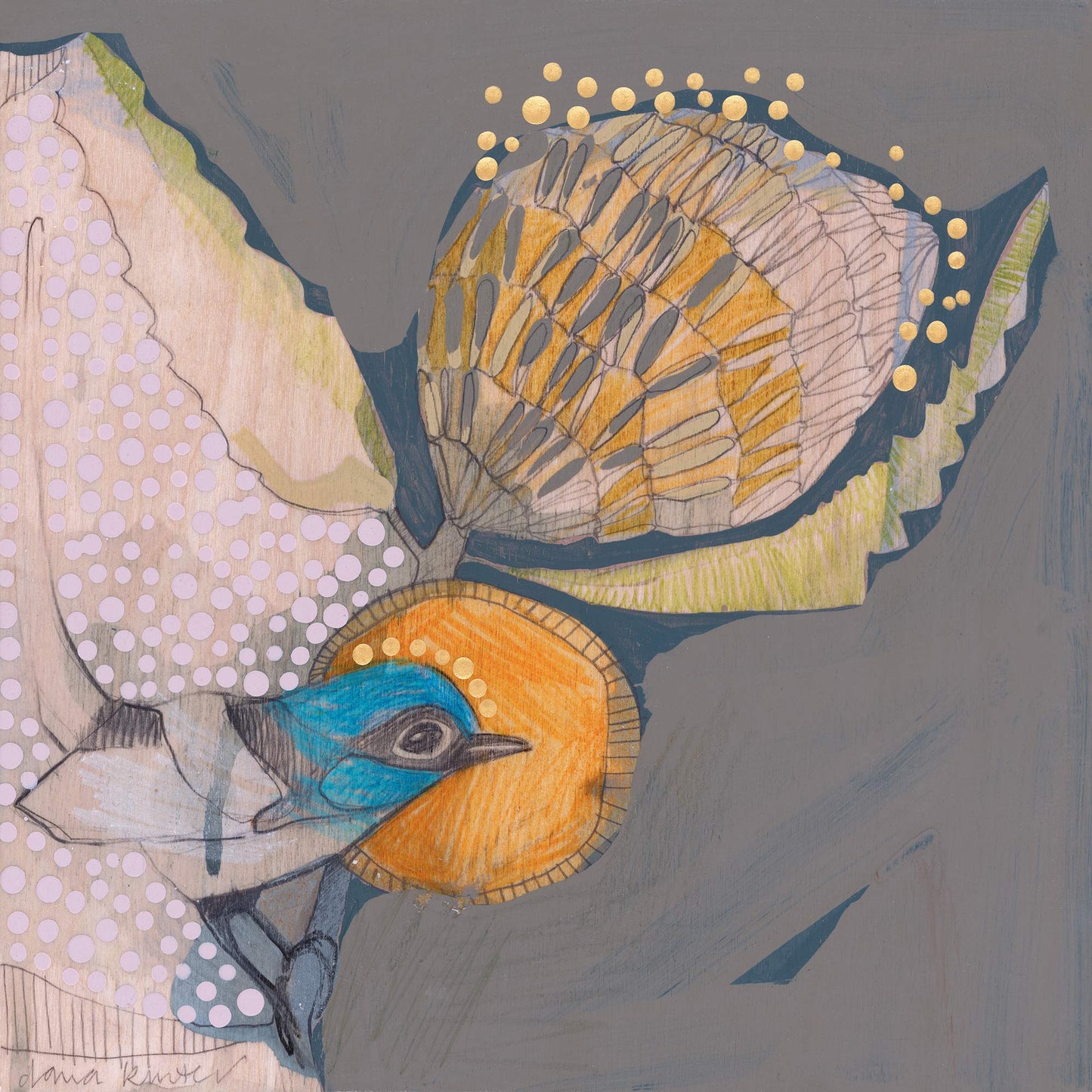 Dana Kinter blank cards - assorted