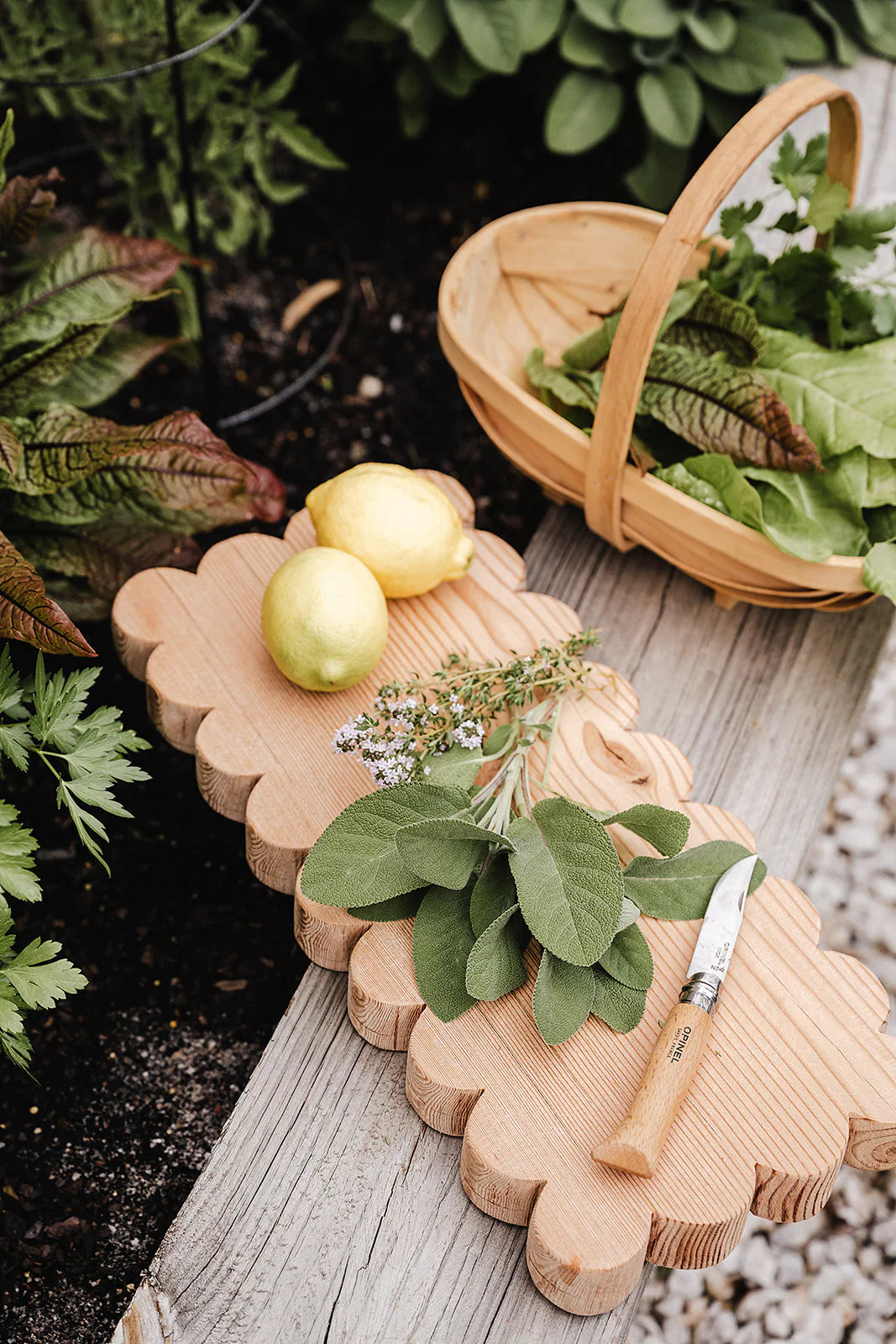 Ivy Alice Vintage Rectangle Scalloped Grazing Board