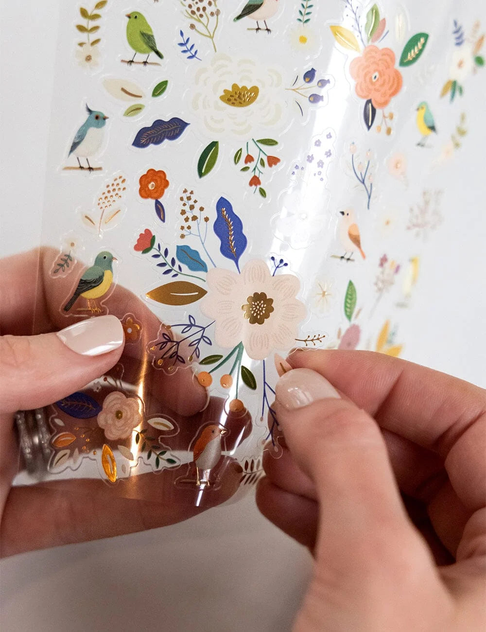 Bespoke Sticker Collection - Garden Birds