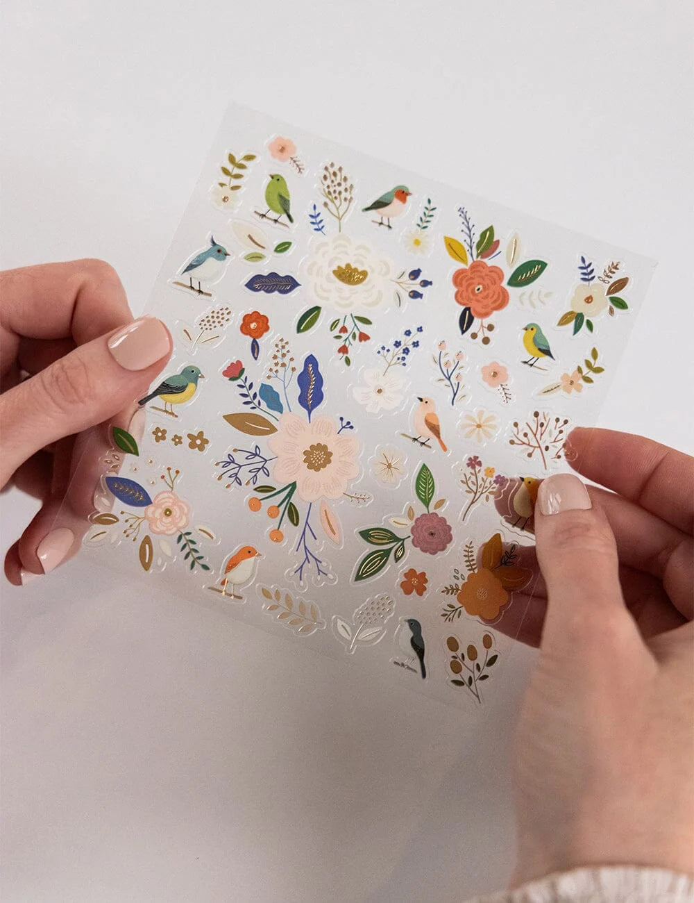 Bespoke Sticker Collection - Garden Birds