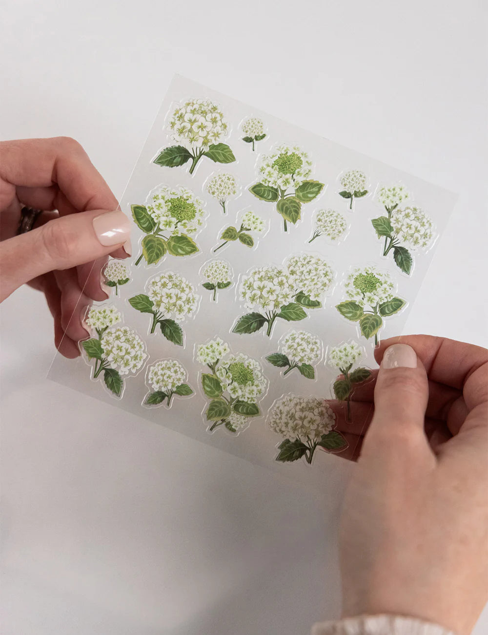 Bespoke Sticker Collection - Hydrangeas