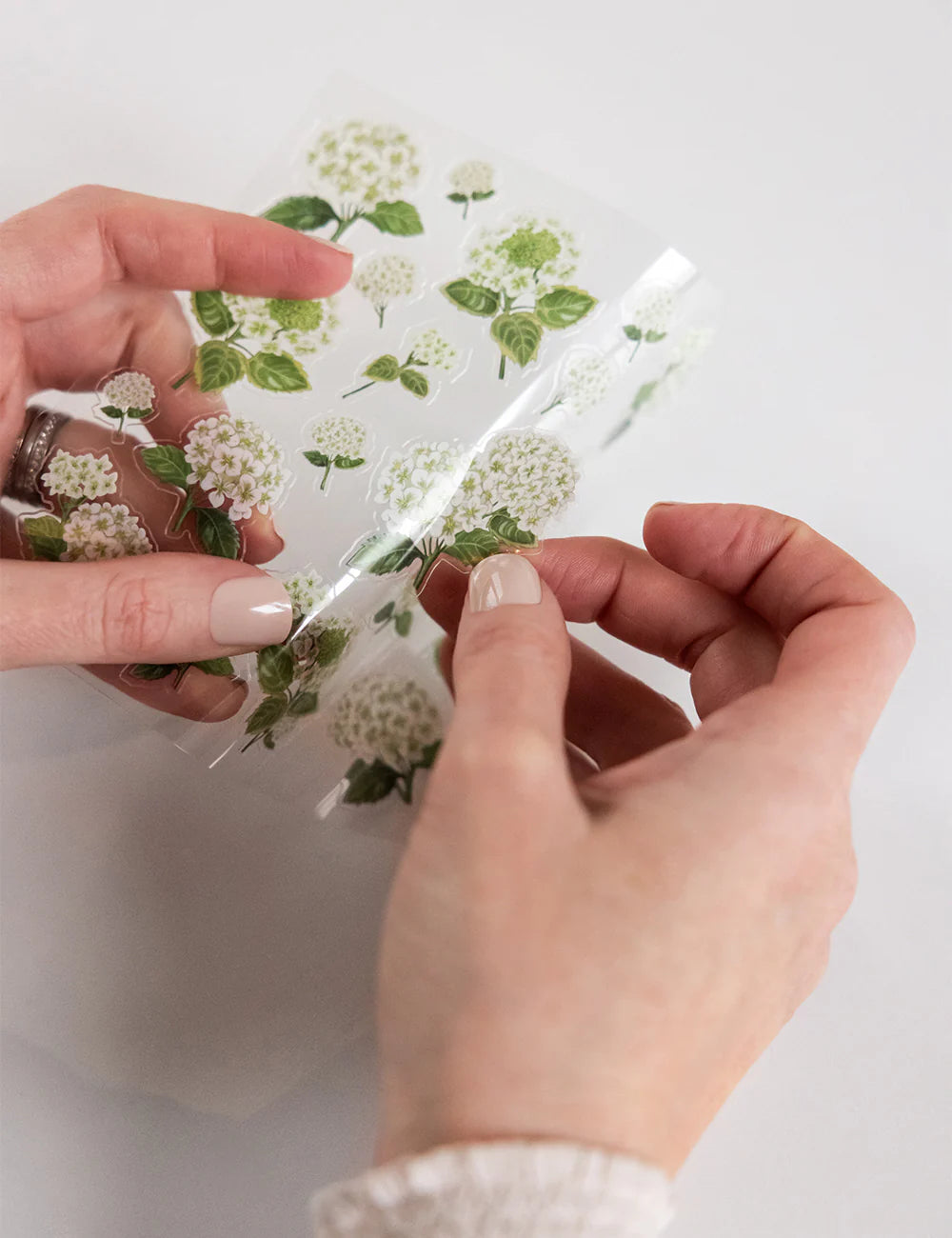 Bespoke Sticker Collection - Hydrangeas