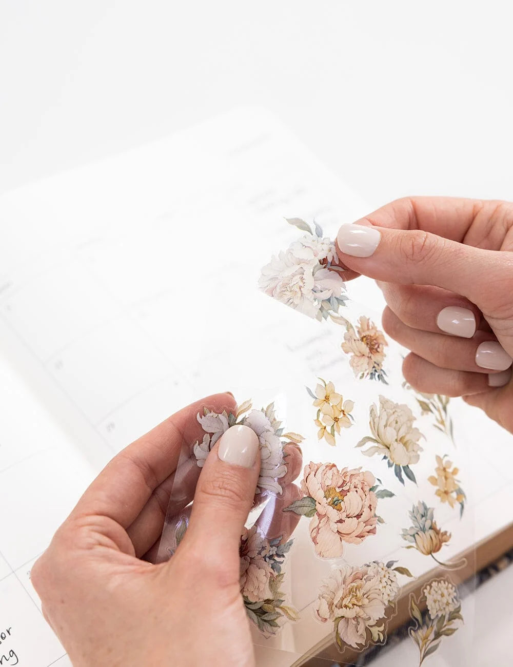 Bespoke Sticker Collection - Promenade Peonies