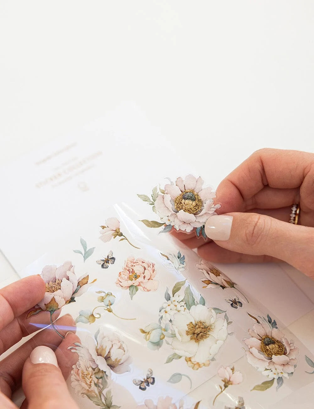 Bespoke Sticker Collection - Lady Jane's Garden