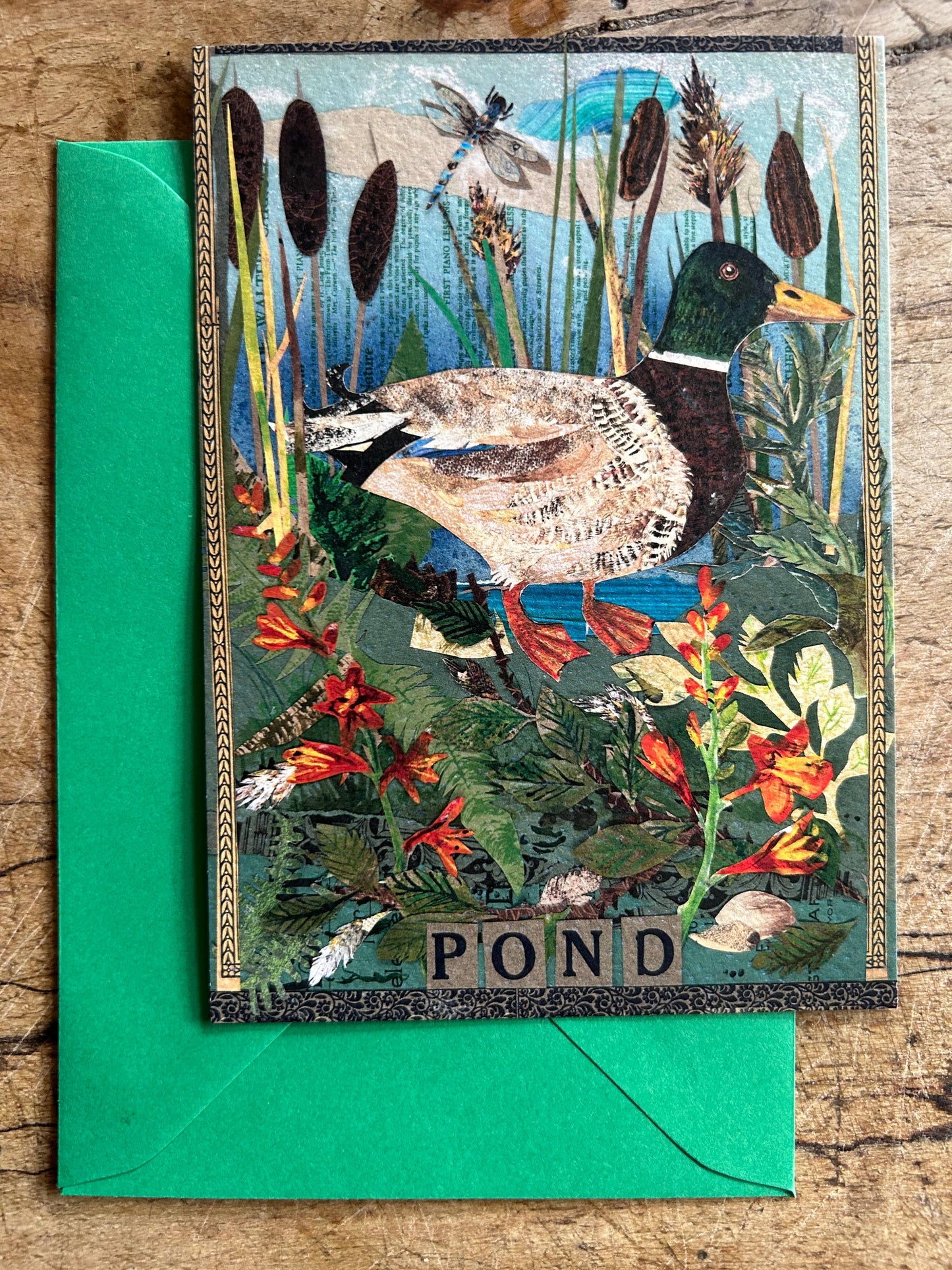 A6 Pondlife postcard 