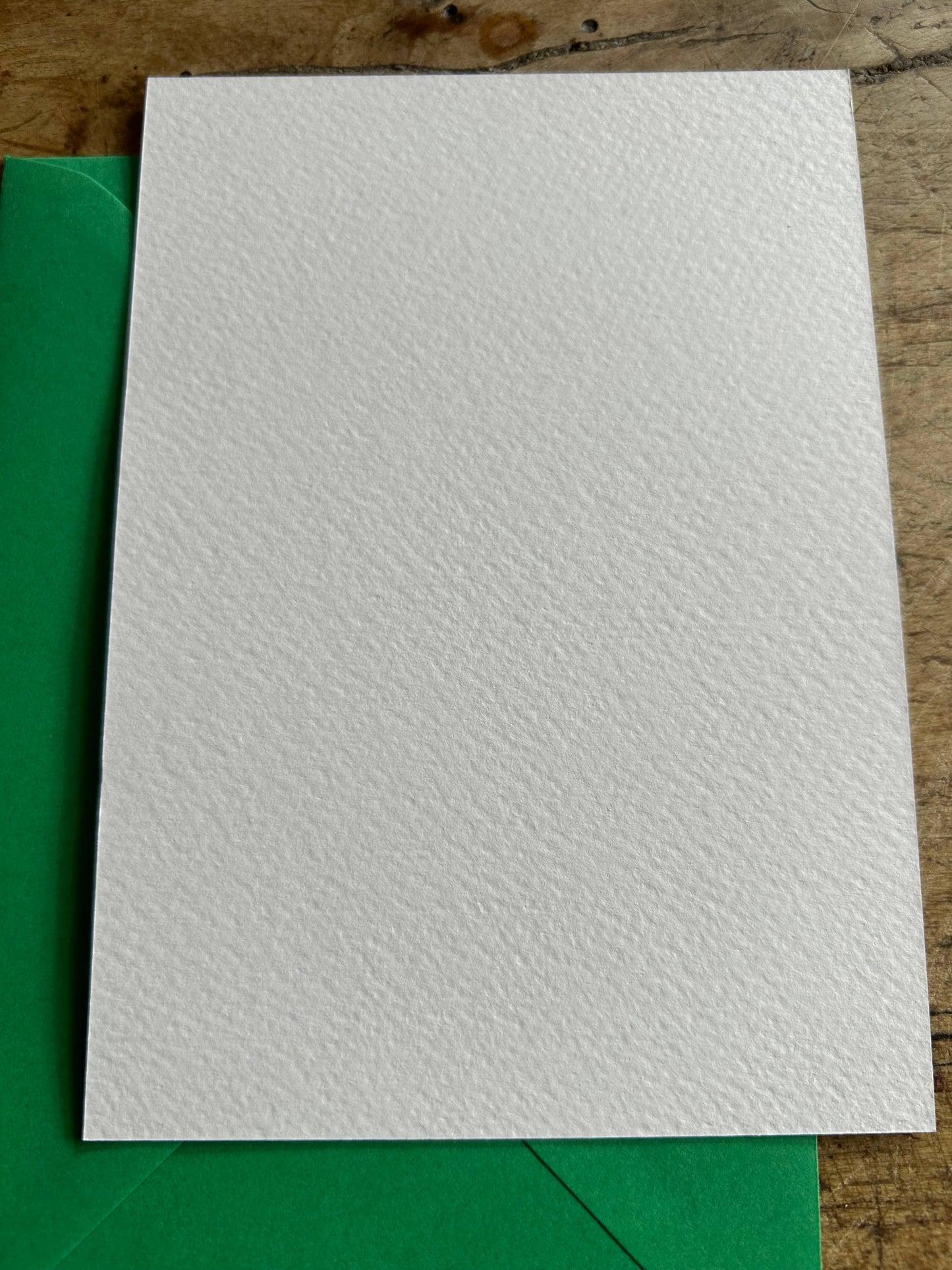 A6 Pondlife postcard 
