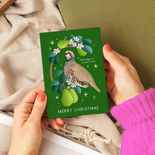 Partridge in Pear Tree Christmas Card | Cute Illustration