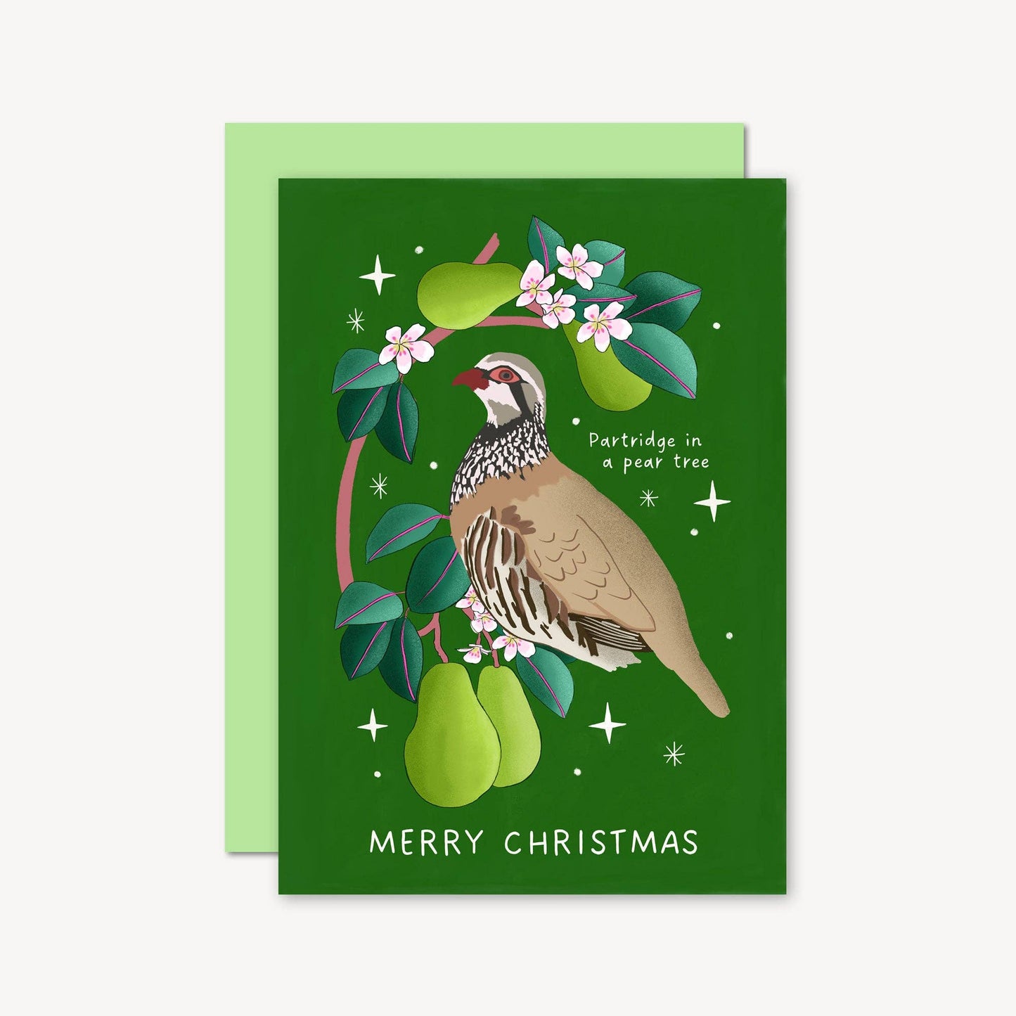 Partridge in Pear Tree Christmas Card | Cute Illustration